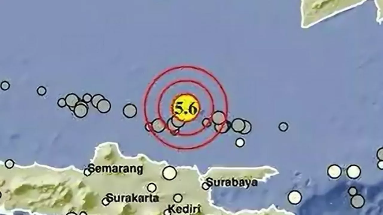 Gempa Magnitudo 4,3 Kembali Menggoyang Tuban Minggu Malam 5 Mei, Terasa hingga Bawean