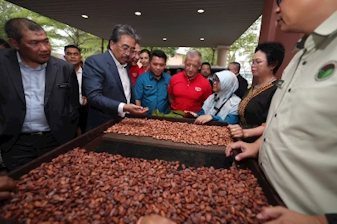 Plantation minister: Malaysia can integrate into global cocoa market