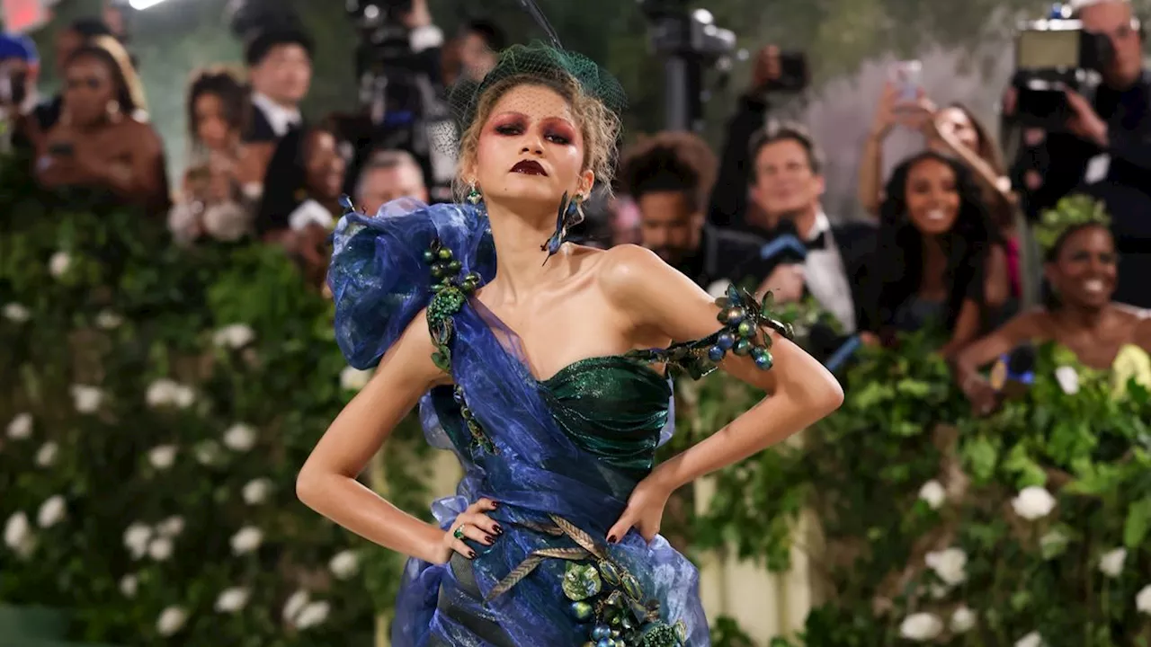 Zendaya's Met Gala 2024 Look Is Gothic Garden Perfection