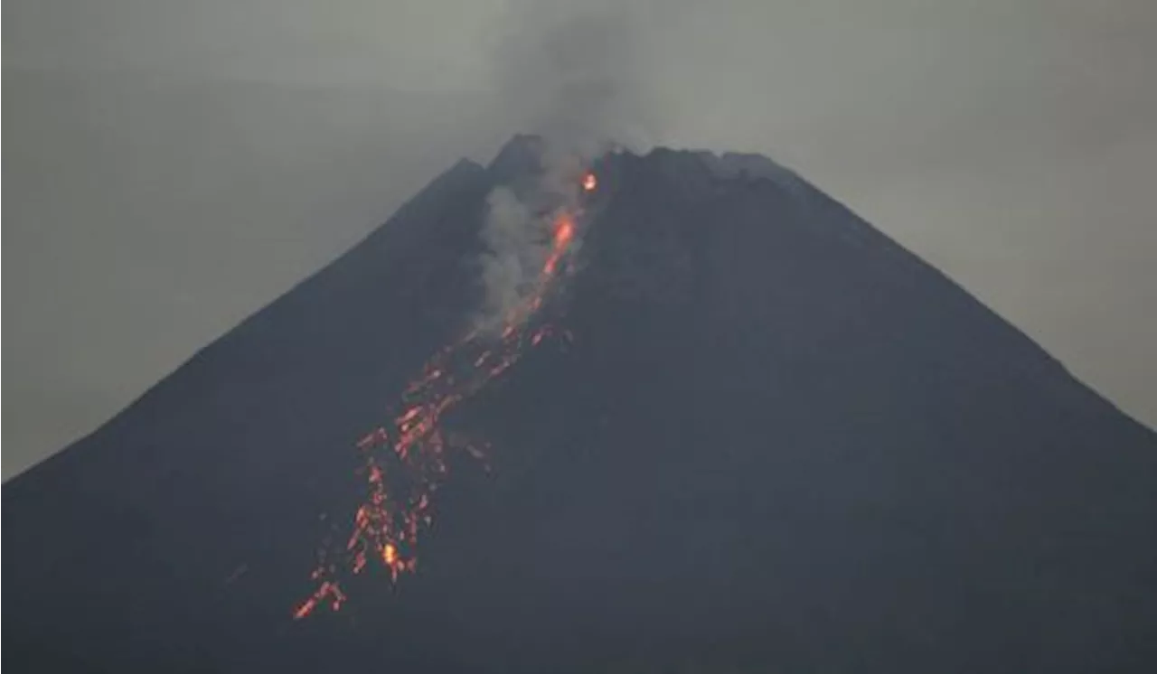 5 Kali Guguran Lava Gunung Merapi Terjadi Sepanjang Siang hingga Sore