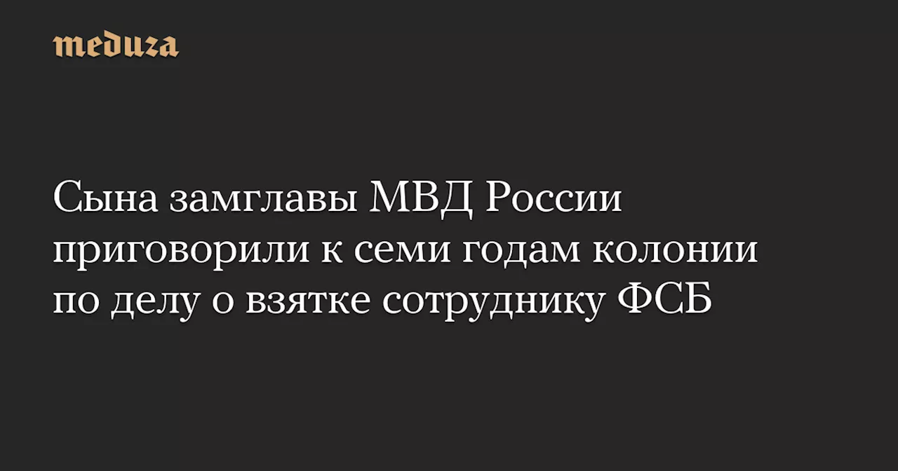 Сына замглавы МВД России приговорили к семи годам колонии по делу о взятке сотруднику ФСБ — Meduza