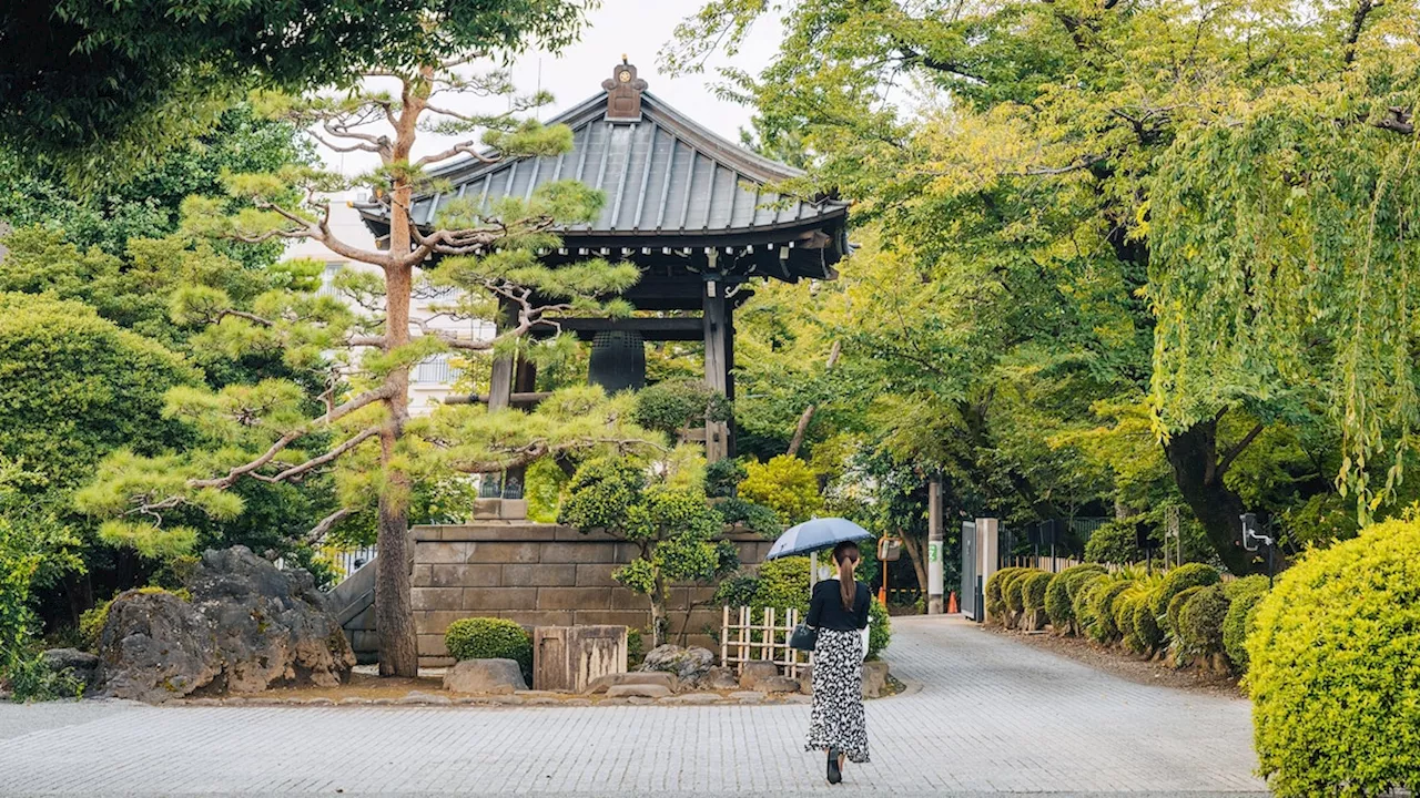 10 of the best hotels in Tokyo, from charming ryokans to Japanese onsen retreats