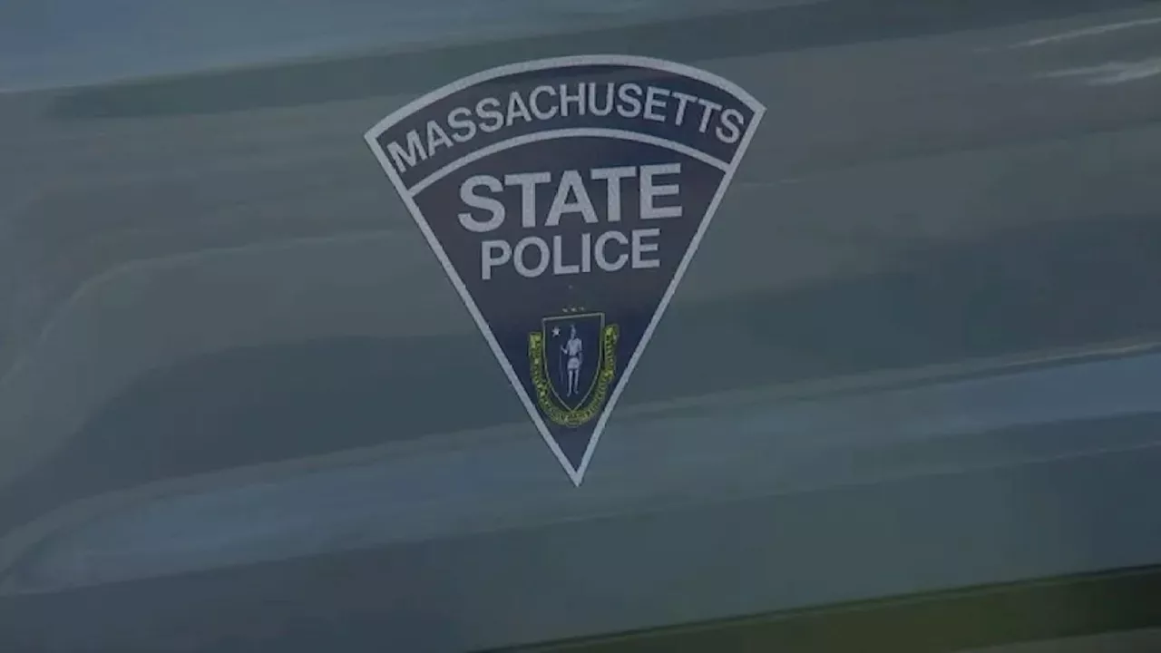 Bear dragged man's body from car after fatal crash in western Mass., police say