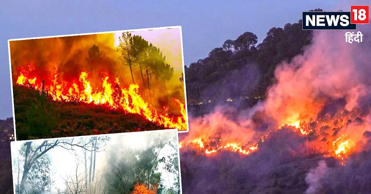 उत्तराखंड के जंगलों में आग ही आग, बागेश्वर में धुएं से कुछ भी नहीं दिख रहा, कई जिलों में बड़े एक्‍शन का ऑर्...