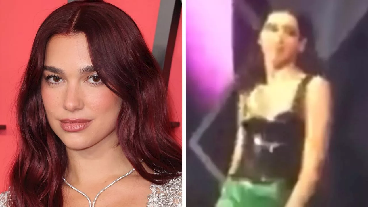 Dua Lipa ‘humiliated’ by meme for two years