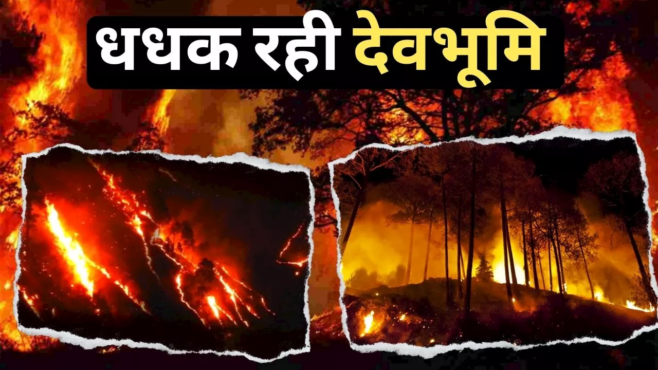 Uttarakhand Fire: उत्तराखंड में आग का तांडव, बागेश्वर में भी उठ रहा धुआं...बेजुबानों पर संकट