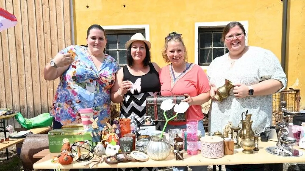 Viele „Schätze“ gab es beim Flohmarkt am Finsterhof in Neulengbach