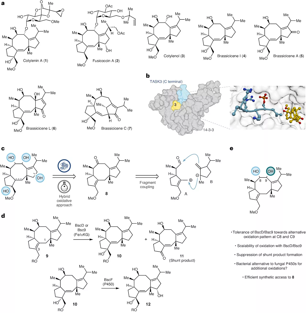 Synthetic chemistry approach yields new compounds with potential biomedical applications