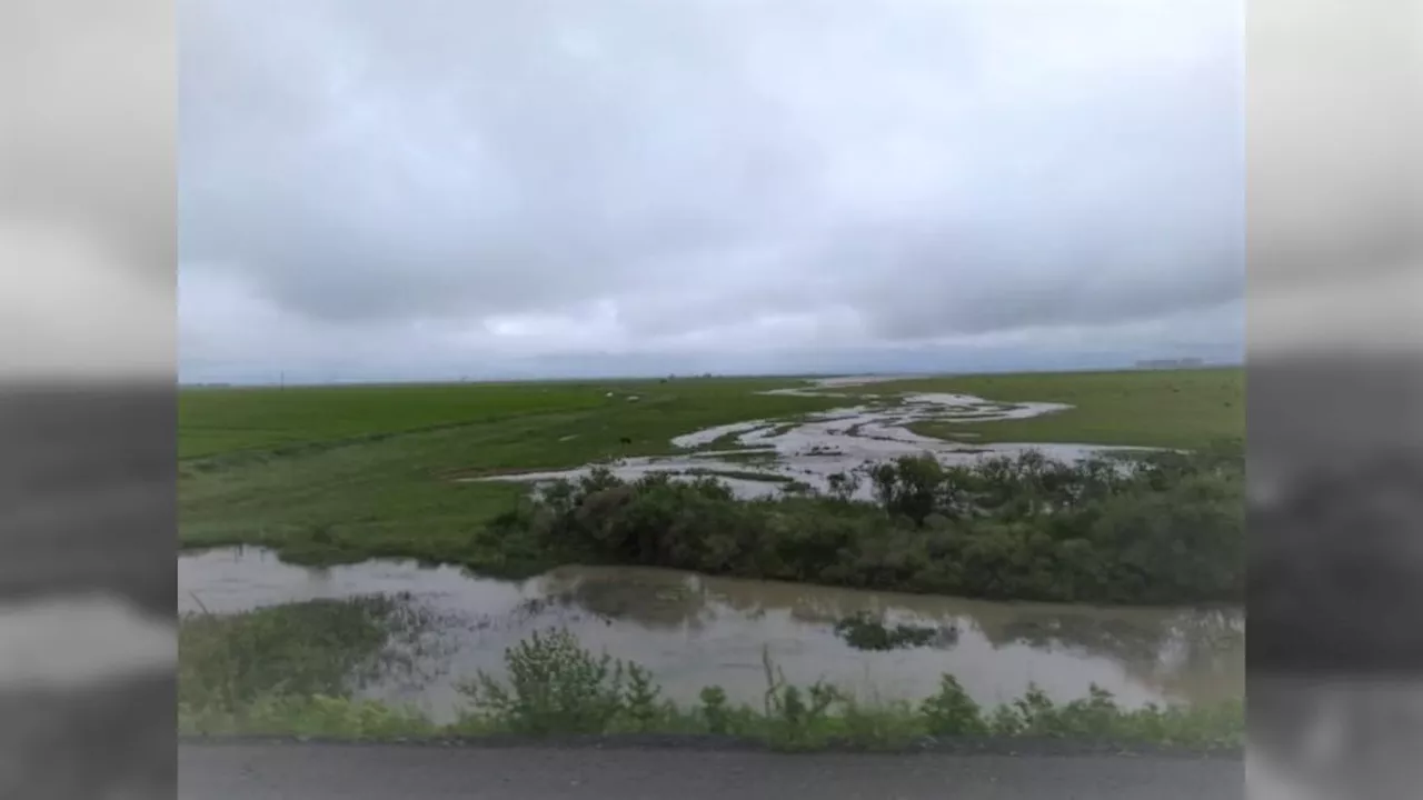 Chuvas no Rio Grande do Sul podem deixar arroz e carnes mais caras; entenda