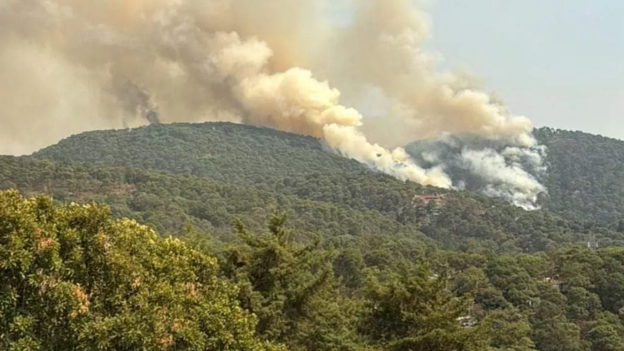 Nuevo incendio en Valle de Bravo, ahora en Monte Alto; reserva natural, en peligro (Videos)