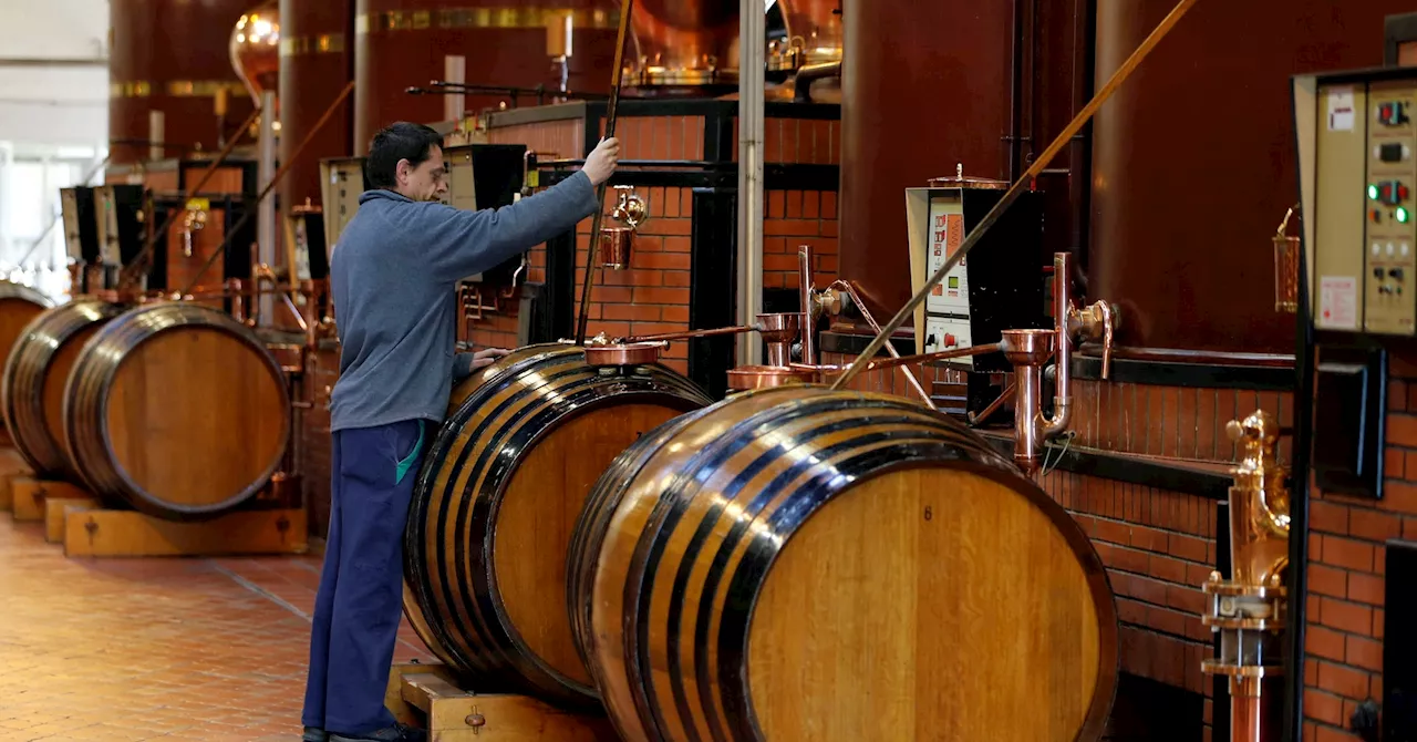 Chinese tariffs could leave cognac makers with too much brandy