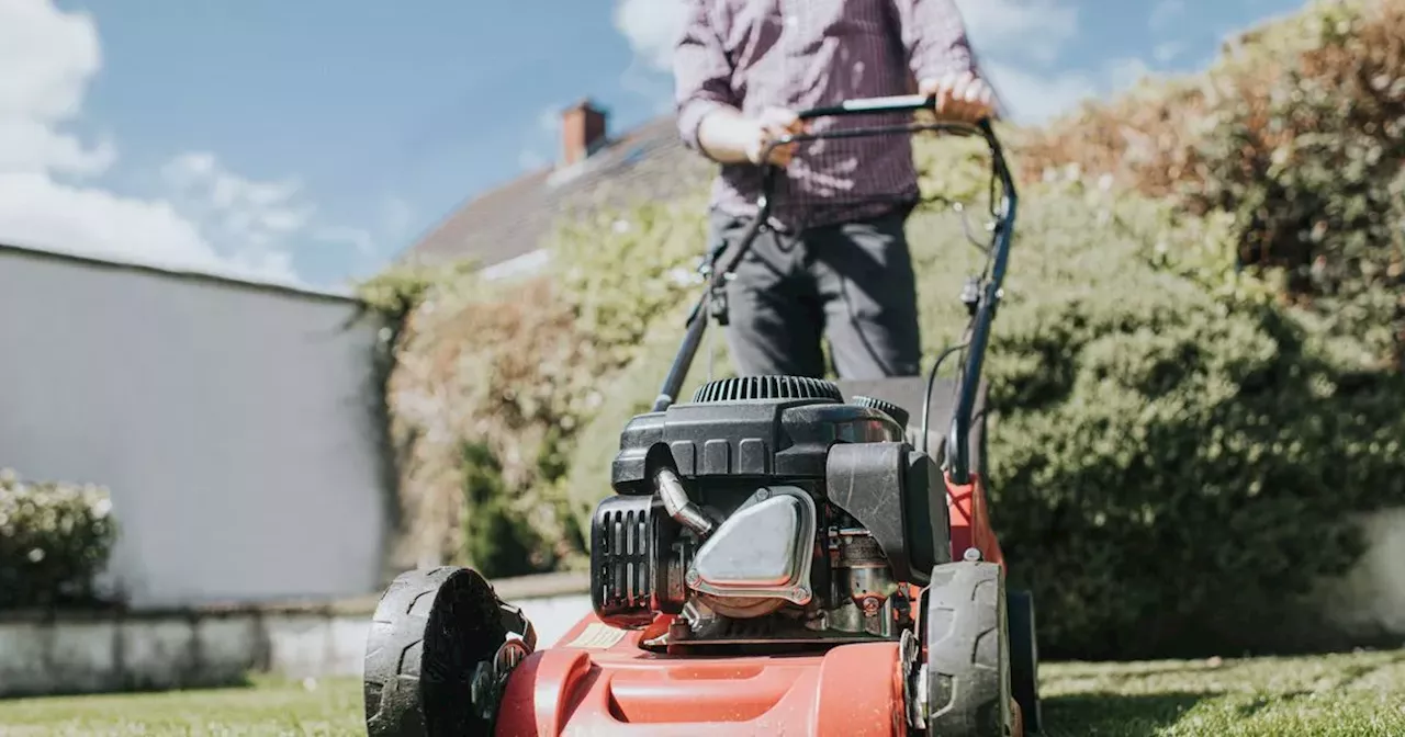 Expert gardener says you could be ruining your lawn by making one major mistake