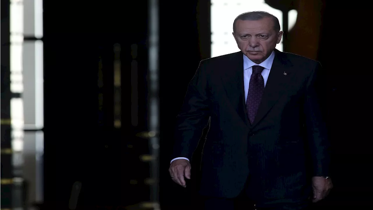 أردوغان يكشف أن حماس وافقت على مقترح تركي لوقف الحرب وأنه ينتظر خطوة مماثلة من إسرائيل