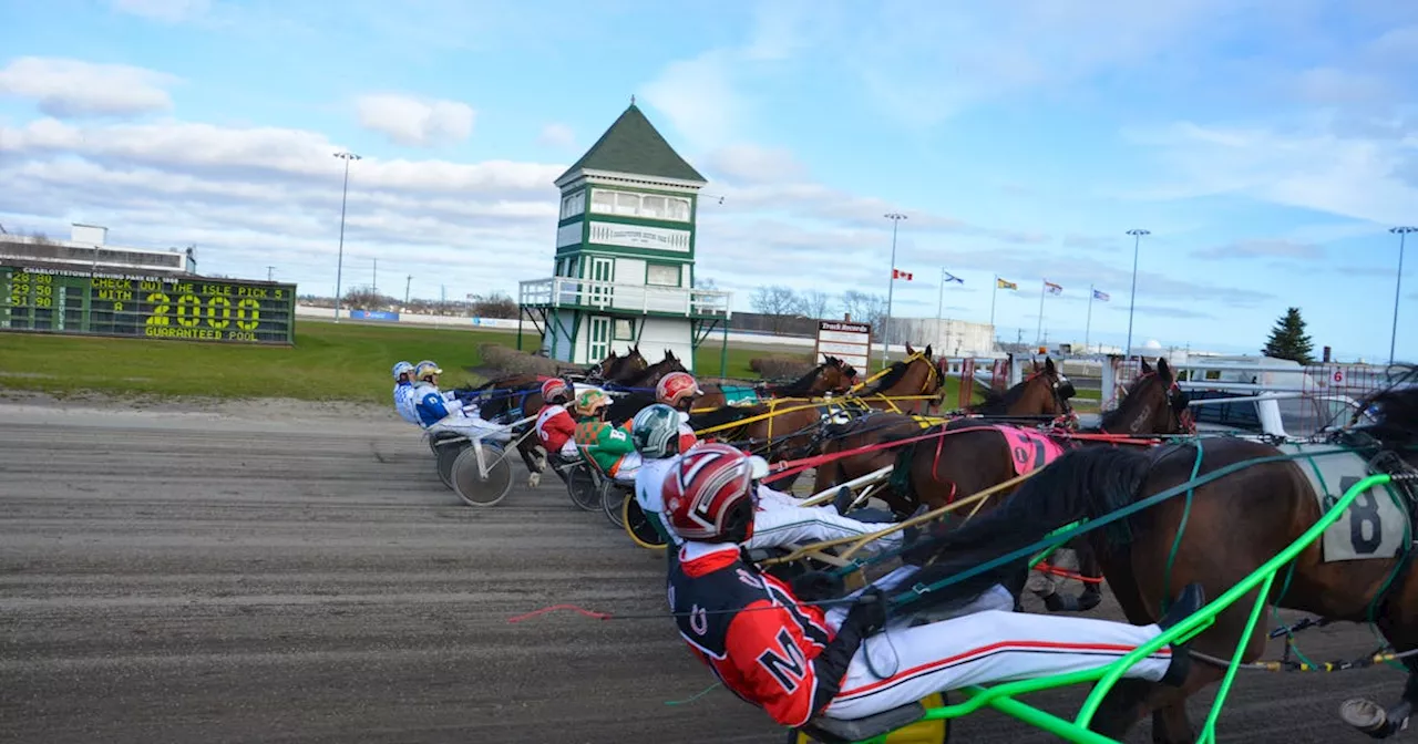 Live harness racing returns to Charlottetown