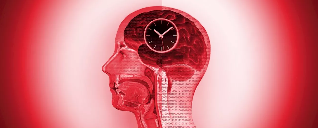Keeping The Body's Multiple Clocks in Sync Could Be The Secret to Slowing Aging