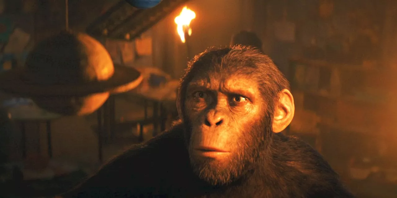 Kingdom Of The Planet Of The Apes Director Reacts To Real Ape Intelligence Breakthrough