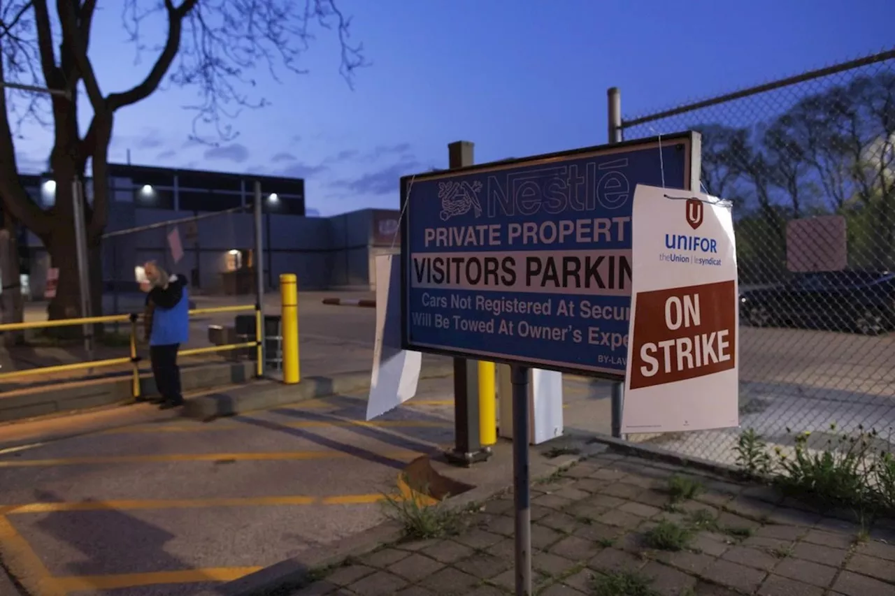 Hundreds strike at Nestle chocolate plant in Toronto, Unifor says