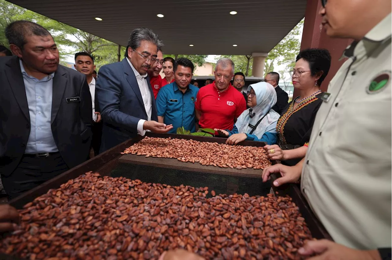 Govt to allocate RM9.5mil to boost local cocoa production, says plantation minister