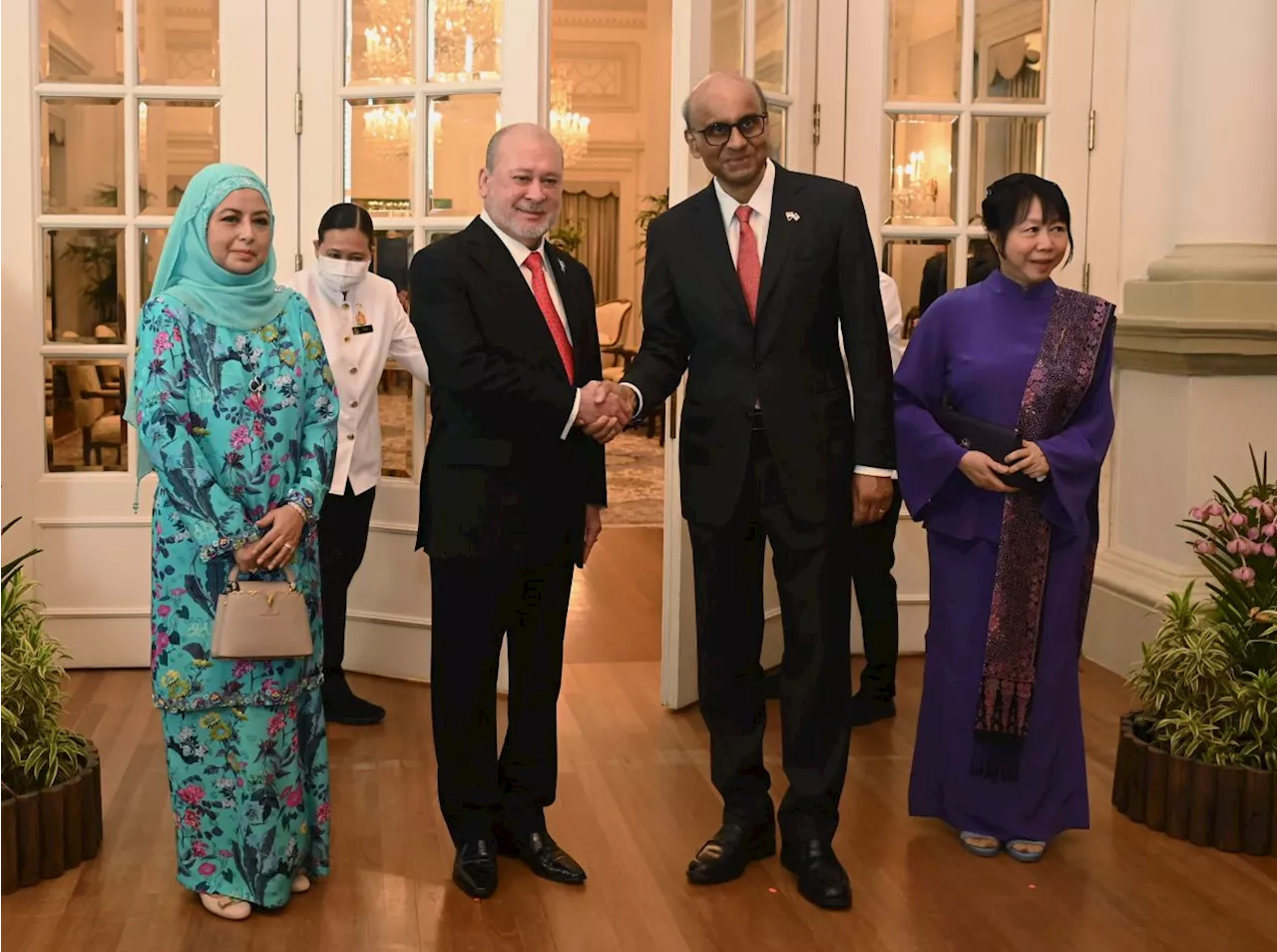 Sultan Ibrahim plays crucial role in advancing bilateral ties, says Singapore president