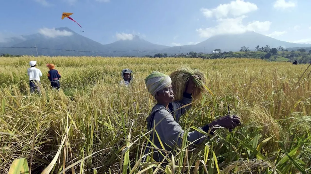 Infrastruktur Air Jaga Ketahanan Pangan, Kementerian PUPR Ungkapkan WWF 2024