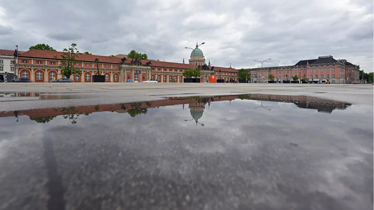 Kommunalwahl in Potsdam: Klimaschutz-Bündnis veröffentlicht Wahlprüfsteine