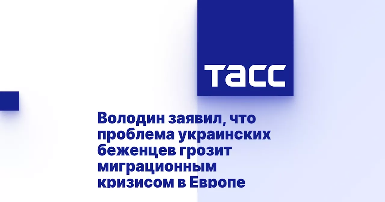 Володин заявил, что проблема украинских беженцев грозит миграционным кризисом в Европе