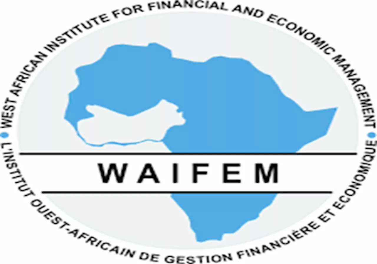 WAIFEM raises alarm on AI misinformation, cybercrime threats in West Africa