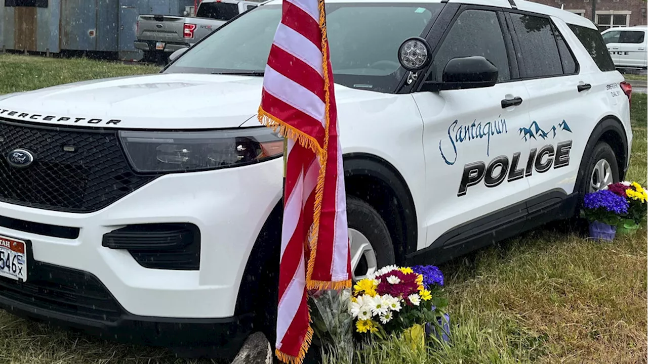 Police sergeant fatally struck by tractor-trailer during traffic stop