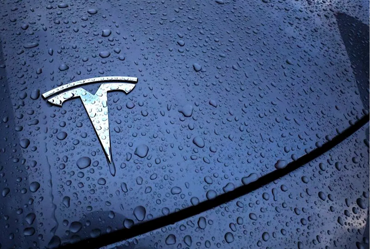 Tesla lays off more staff in software, service teams, Electrek reports