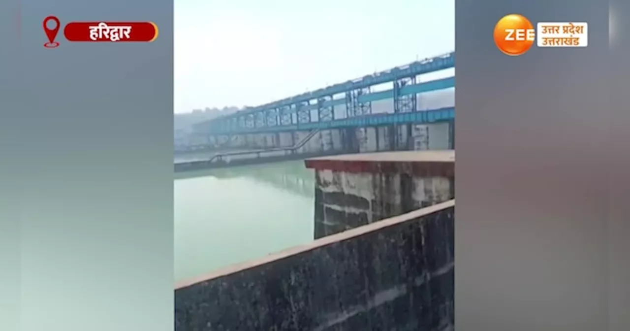 Haridwar News: गंगा नदी में आफत में फंसी जान, तो कर्मचारियों ने सूझबूझ से ऐसे बचाई जिंदगी