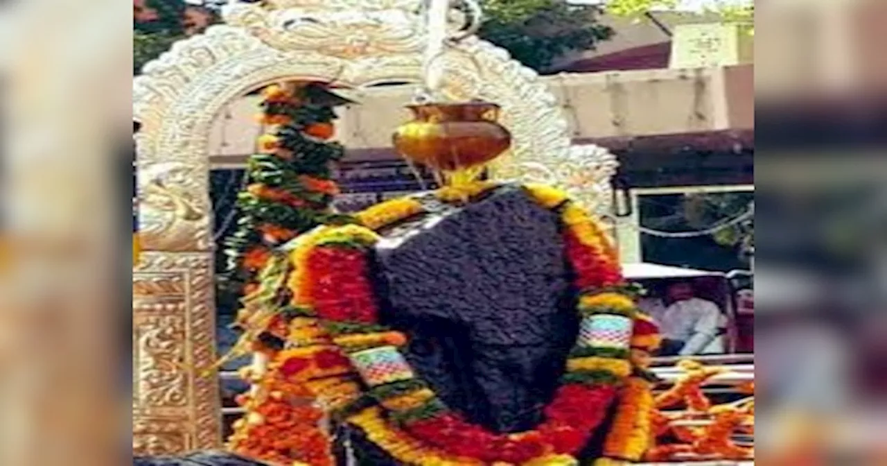 Shani Jayanti 2024: शनि जयंती पर कर लें सरसों के तेल का ये उपाय, शनिदेव जल्द हो जाएंगे प्रसन्न, दोष से मिलेगा छुटकारा