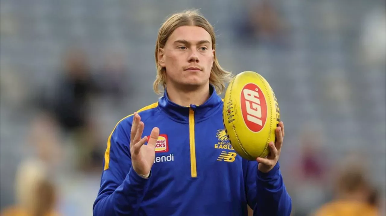 AFL greats slam Kane Cornes’ criticism of West Coast young gun Harley Reid