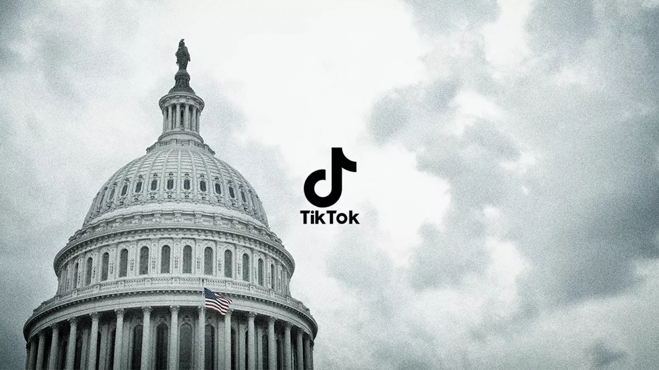 Tiktok Sues Federal Government Over Potential Us Ban Head Topics 0028