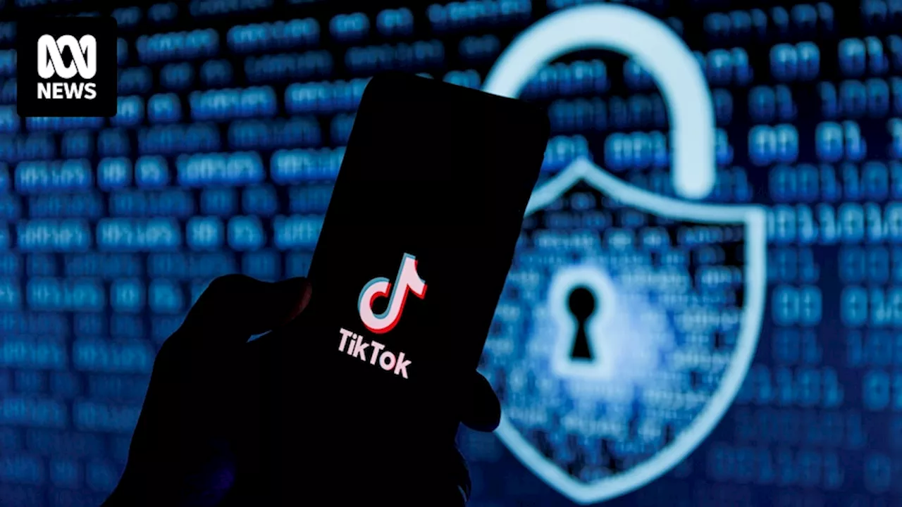 TikTok sues US government to block law that could ban the social media platform