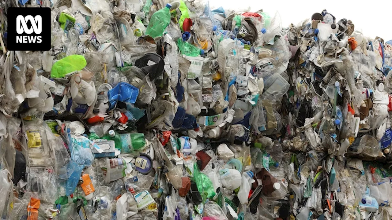 Waste export levy to be scrapped in federal budget after warnings 'recycling tax' would send more waste to landfill