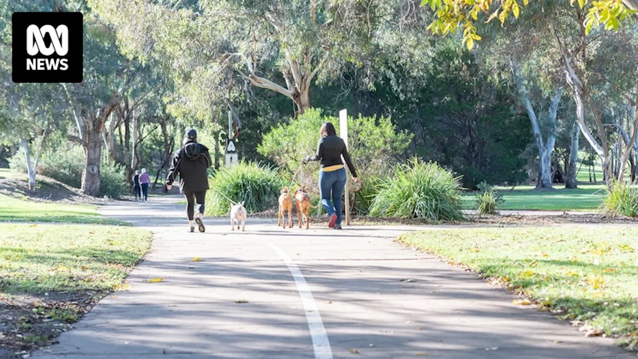 Woman allegedly confronted by man in Adelaide's Linear Park left feeling 'uneasy about my safety'