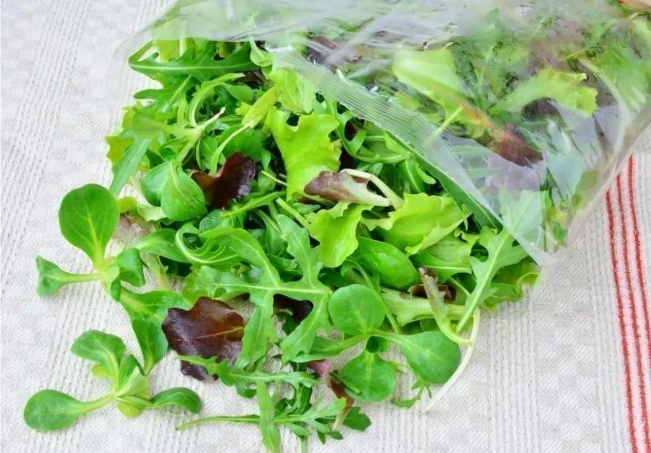 Intermarché : de la salade contaminée par la listeria rappelée dans une trentaine de départements