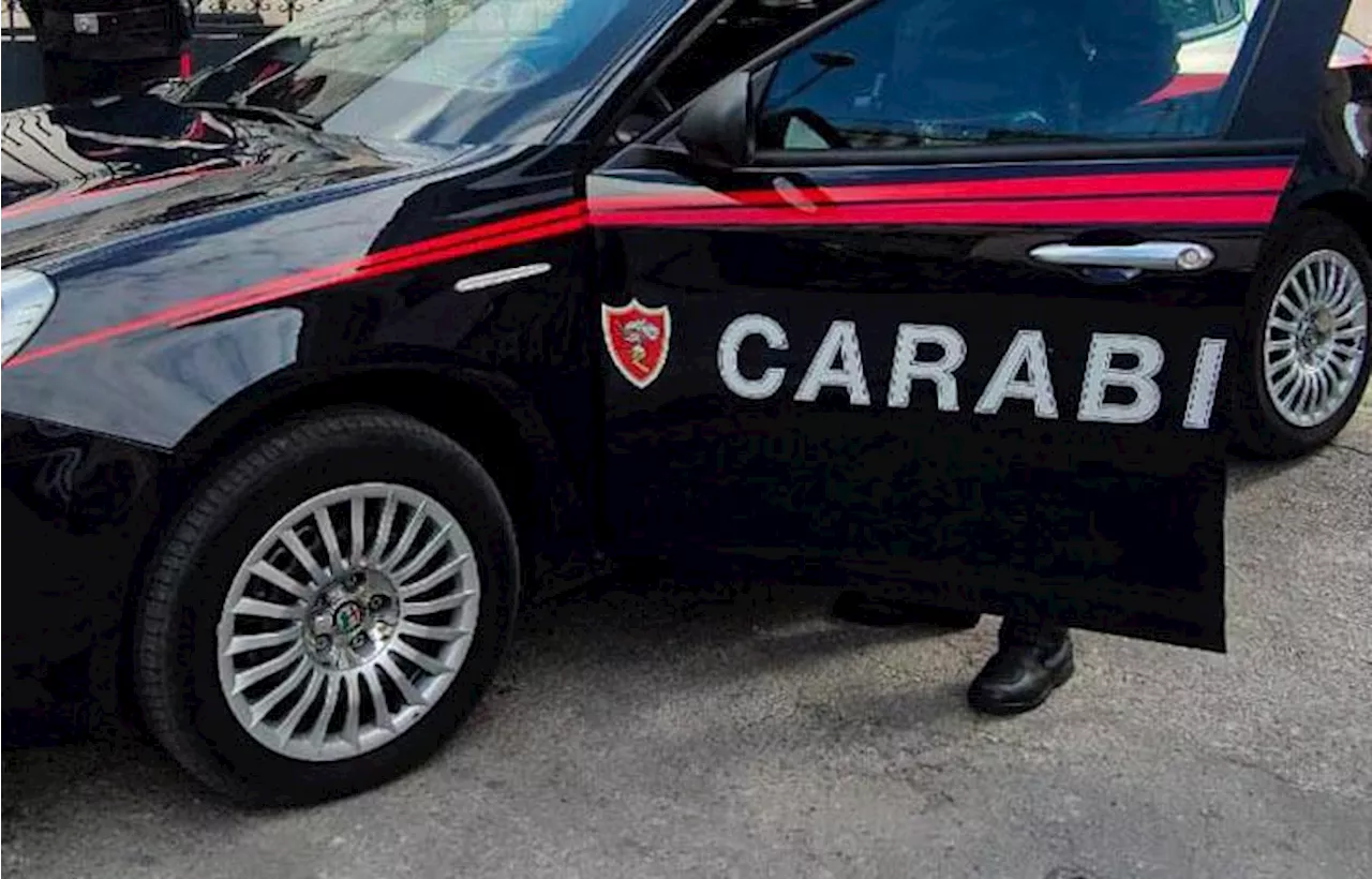 Parma, ergastolano in semilibertà aggredisce la moglie con l'acido e la Parma, ergastolano in semilibertà aggredisce la moglie con l'acido e la accoltella