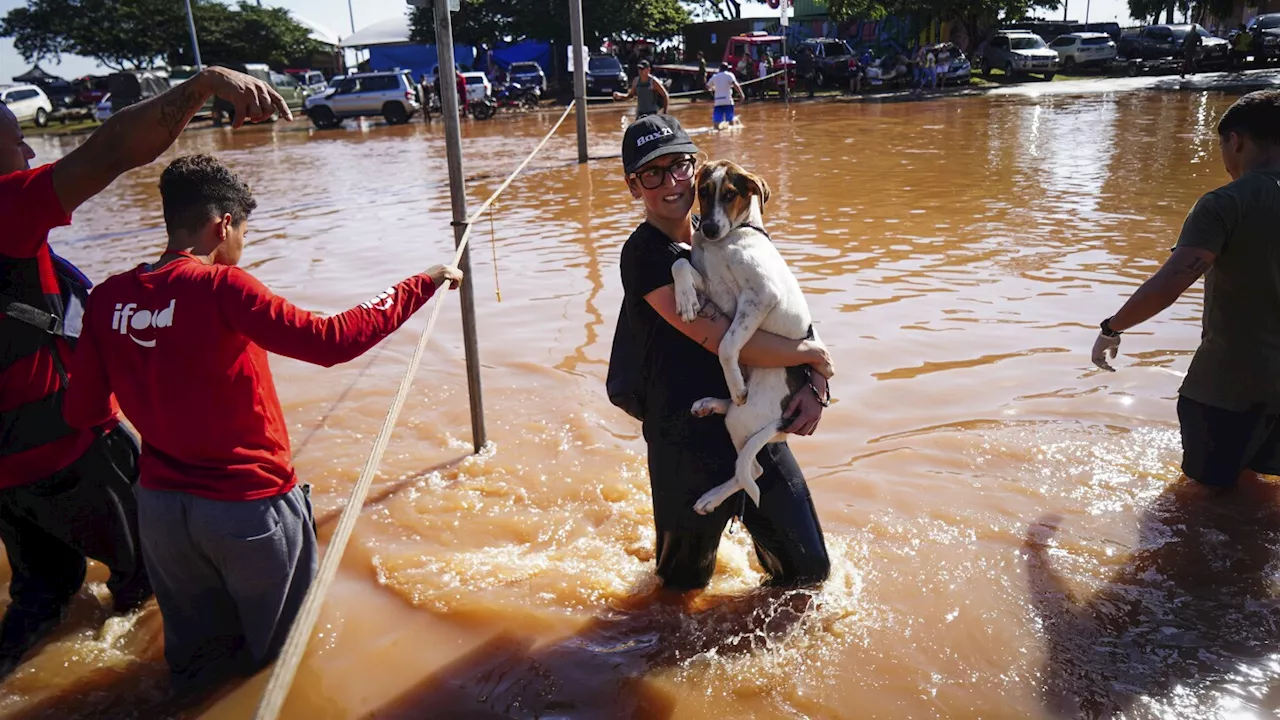 Too much water, and not enough: Brazil's flooded south struggles to find basic goods