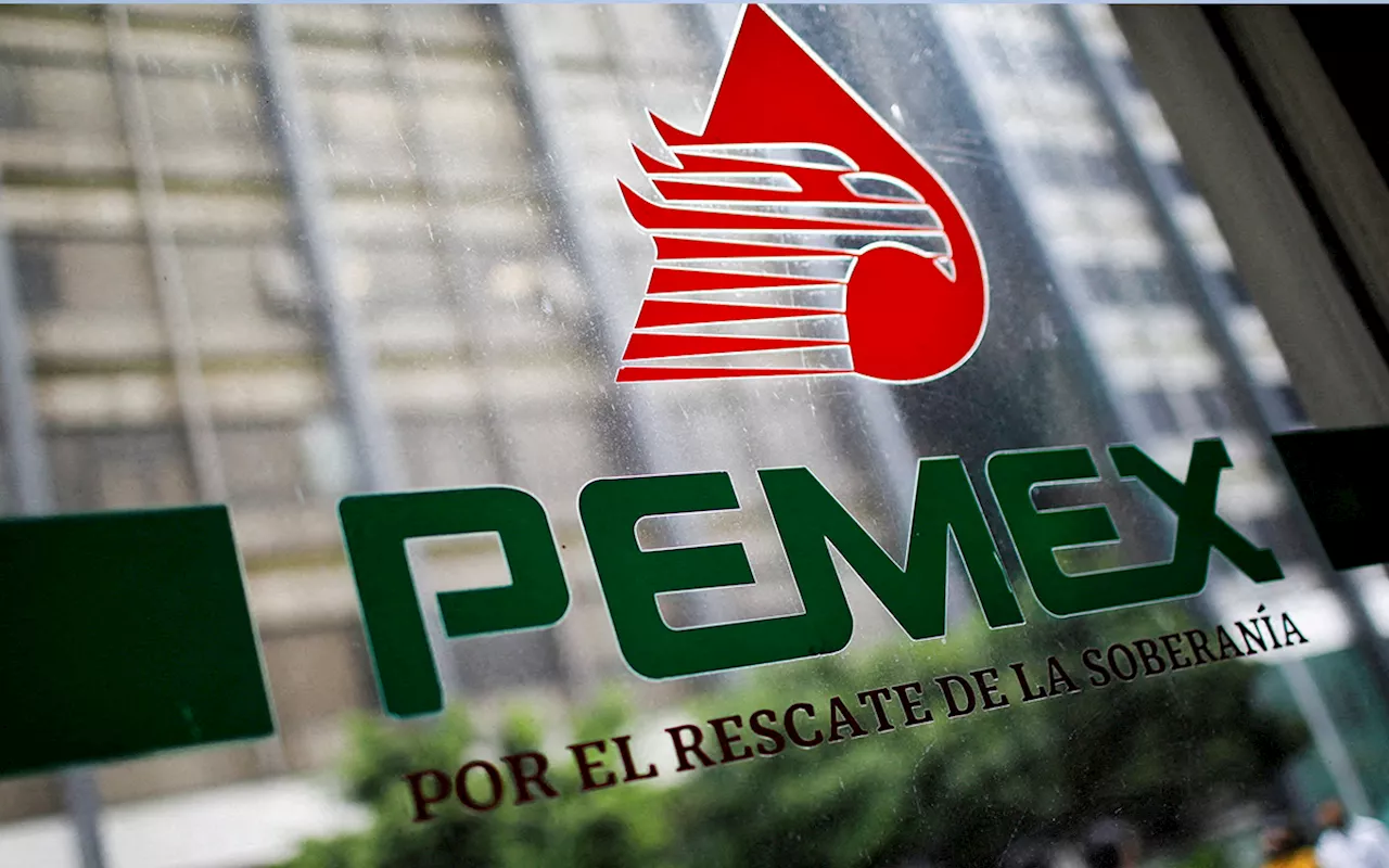 'Gobierno debió testear datos personales' en caso Pemex -Casar: Ana Lilia Pérez