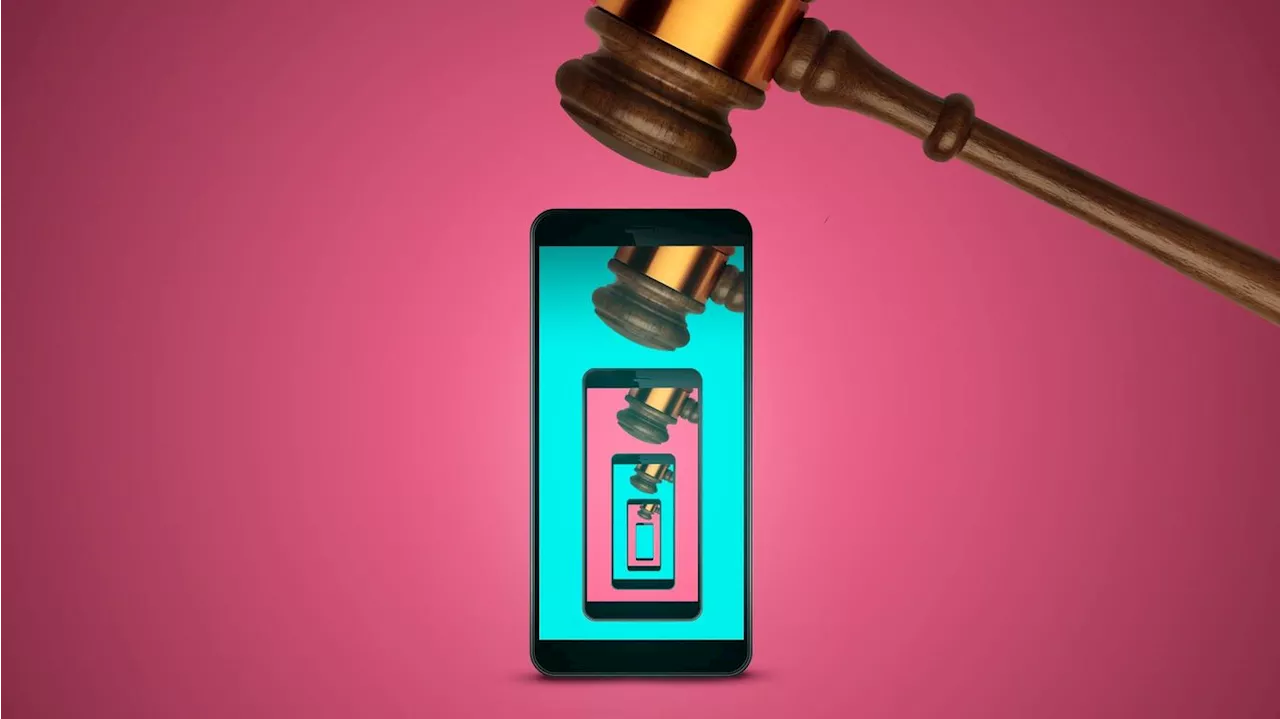 TikTok takes divest-or-ban law to court