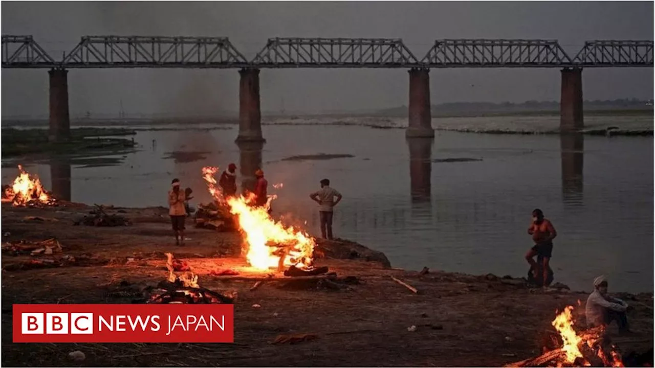 死体であふれる聖なるガンジス川、COVID-19の影響か インド