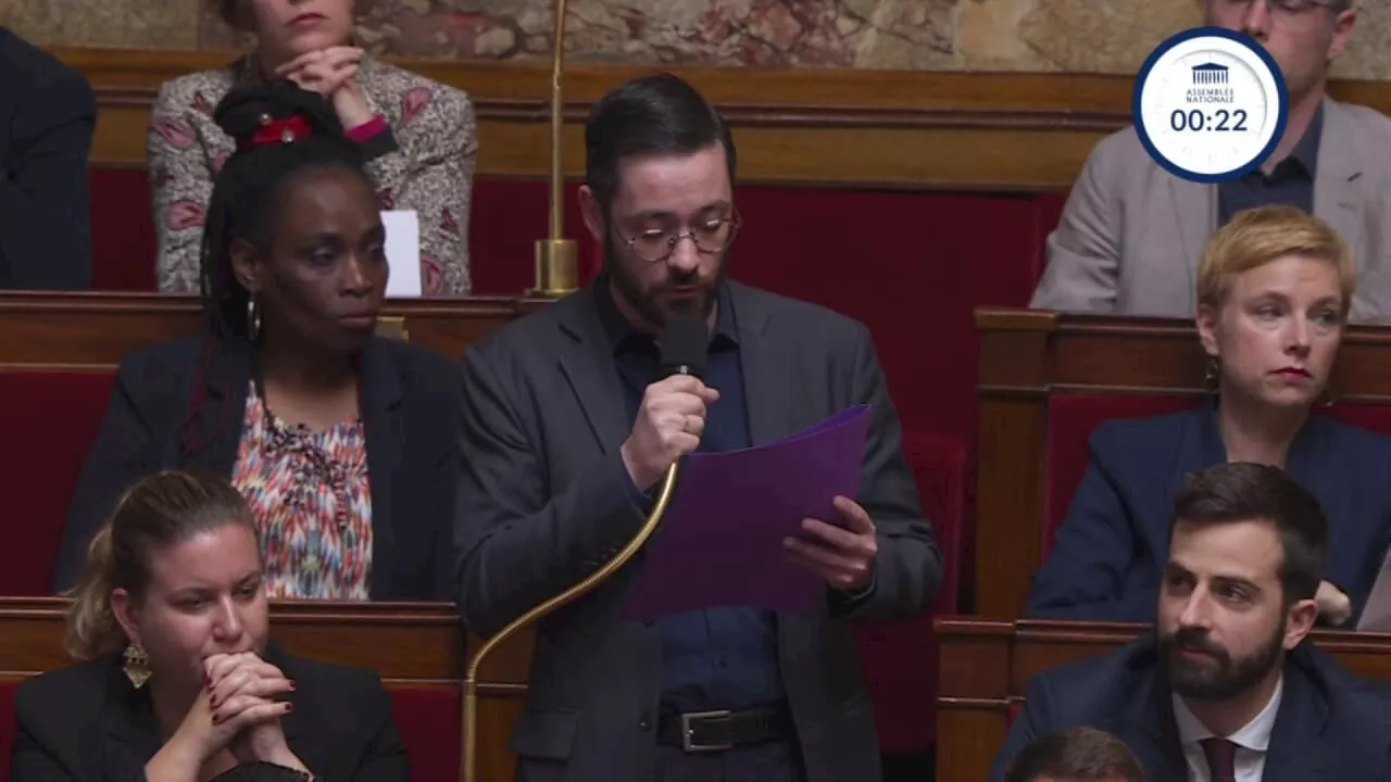 'Votre silence sur le génocide en cours est criminel': David Guiraud (La France Insoumise) sur la liberté de le presse et la liberté d'expression en France