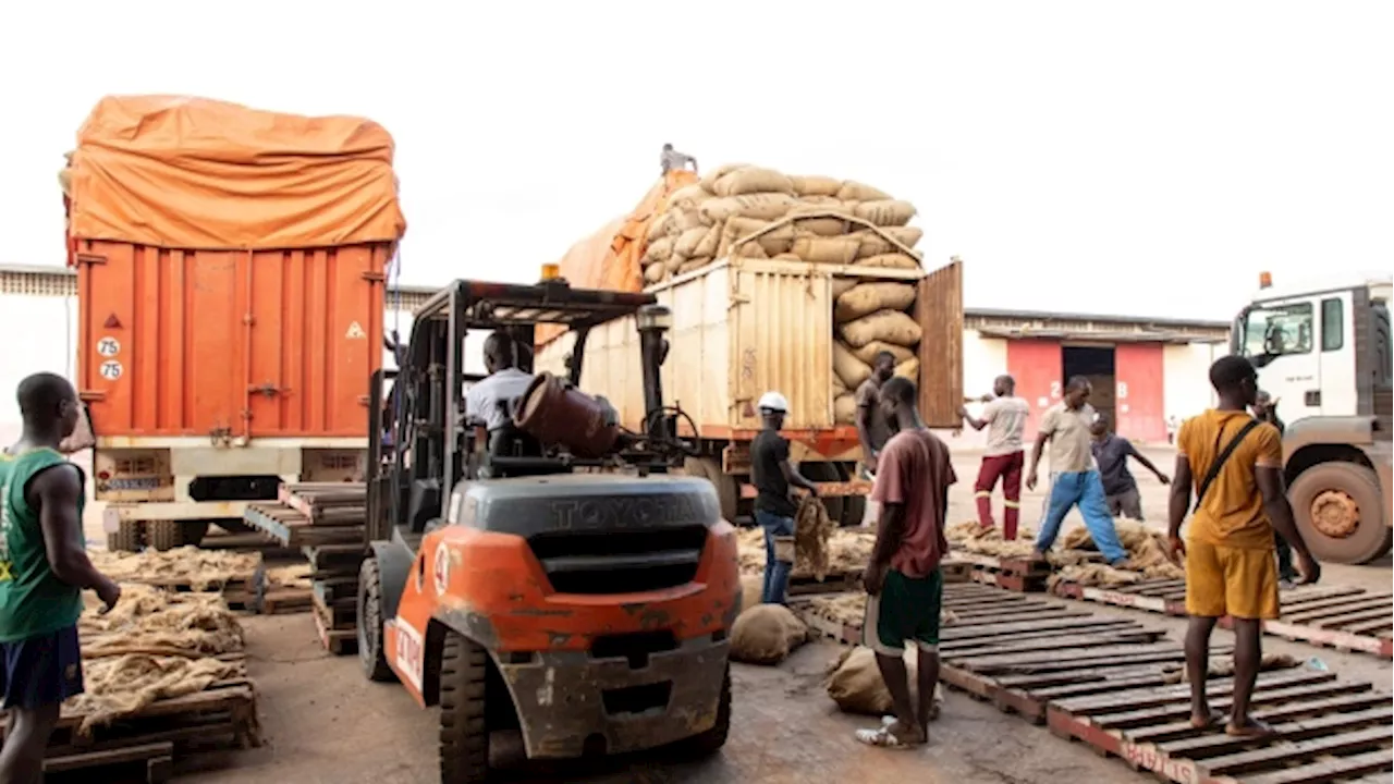 Ivory Coast Says It Can Cover Cost of Some Delayed Cocoa Contracts