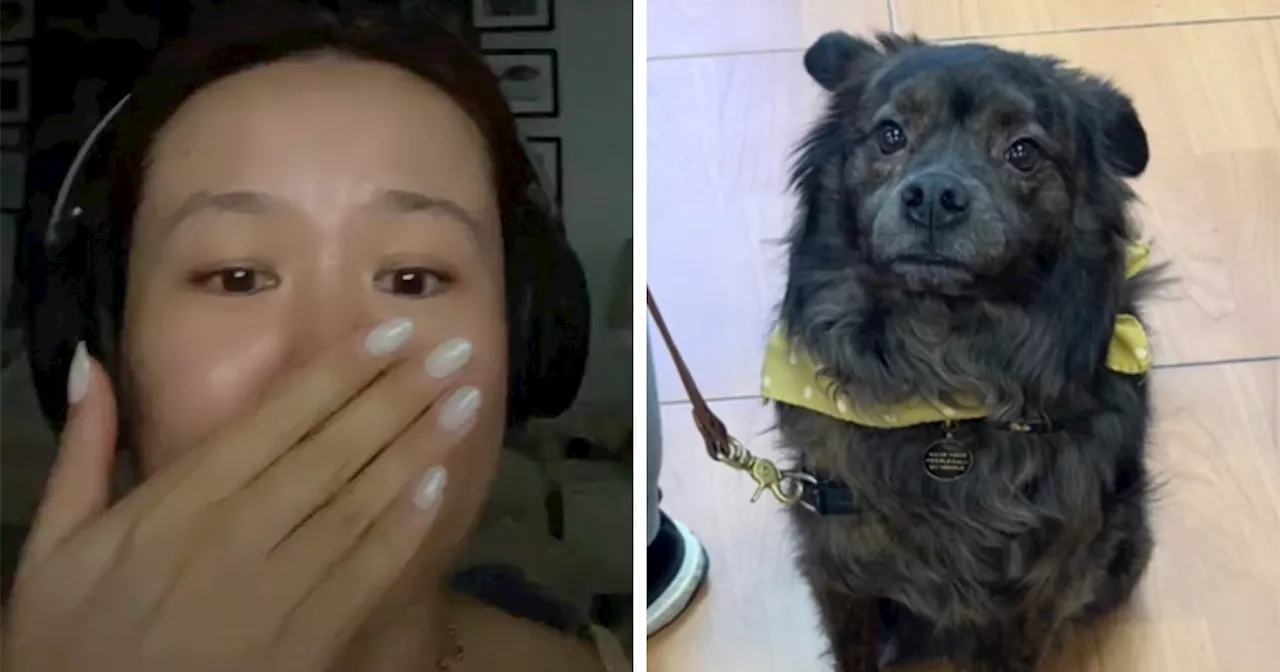 A Dog DNA Test Helps Woman Discover Her Mutt’s Entire Family Tree And She’s In Tears