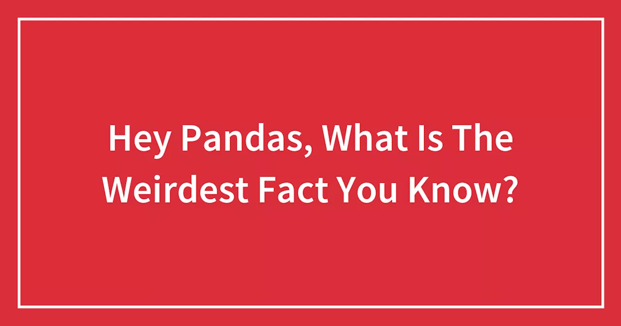 Hey Pandas, What Is The Weirdest Fact You Know?