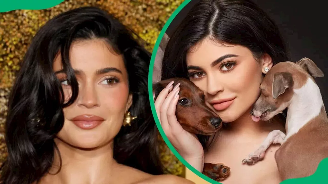 Animals: Kylie Jenner’s dogs: Names, breeds, and adorable pictures ...