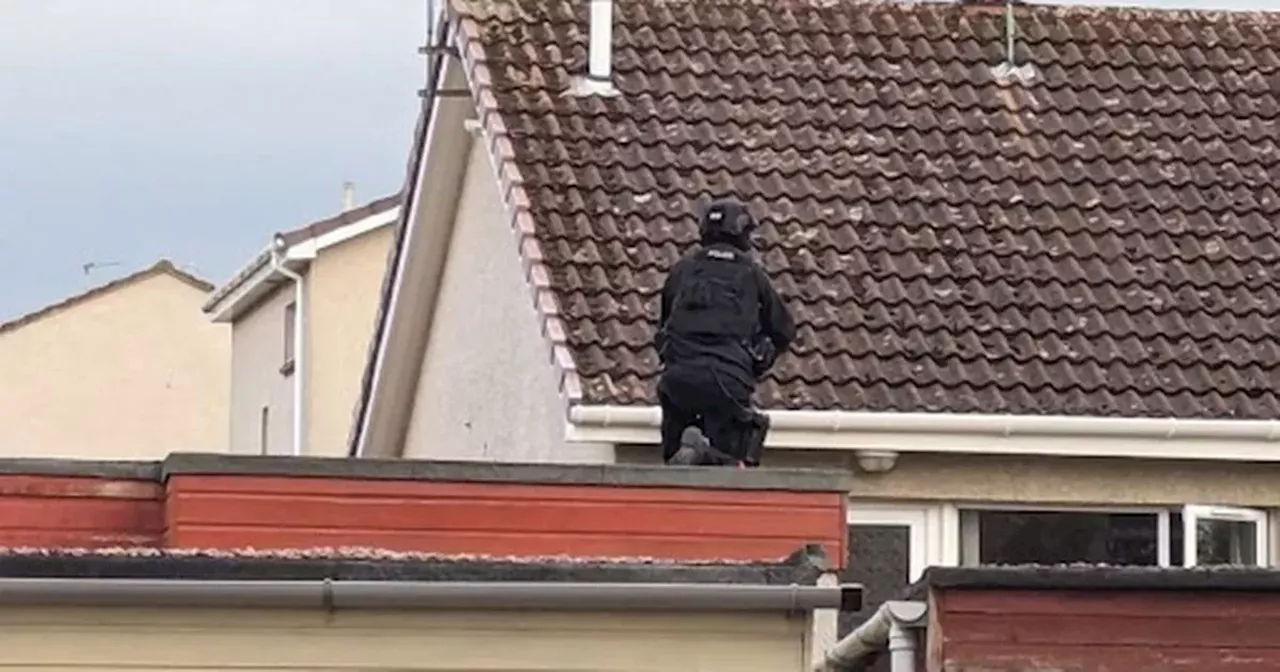 Armed cops in 'body armour' swoop on quiet Scots street