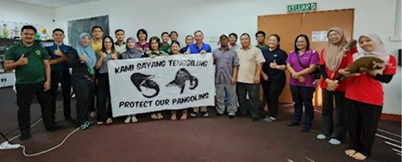 Strengthening protection of pangolins: Wildlife Department