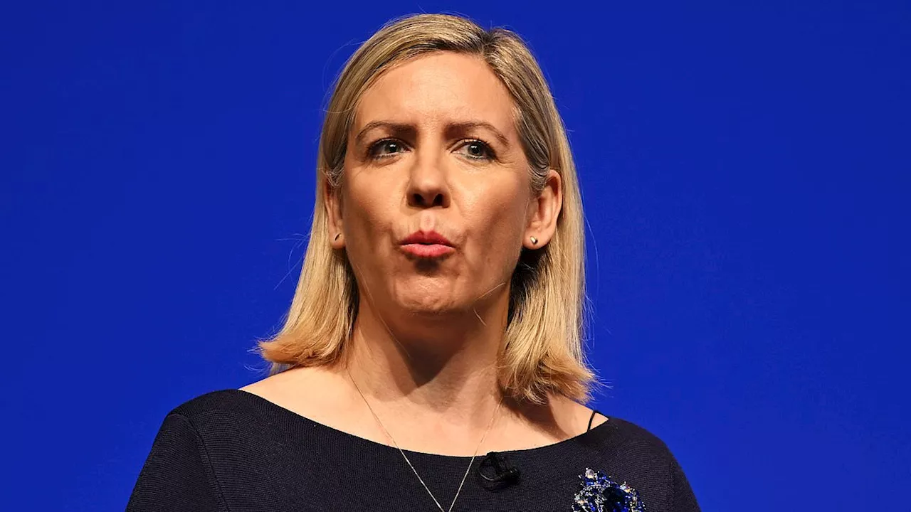 Illegal migrants cost the taxpayer £14 billion every year, says former minister Dame Andrea Jenkyns